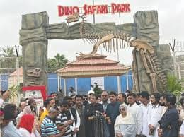Dino Safari Experience 6